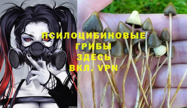 ПСИЛОЦИБИНОВЫЕ ГРИБЫ Богородицк